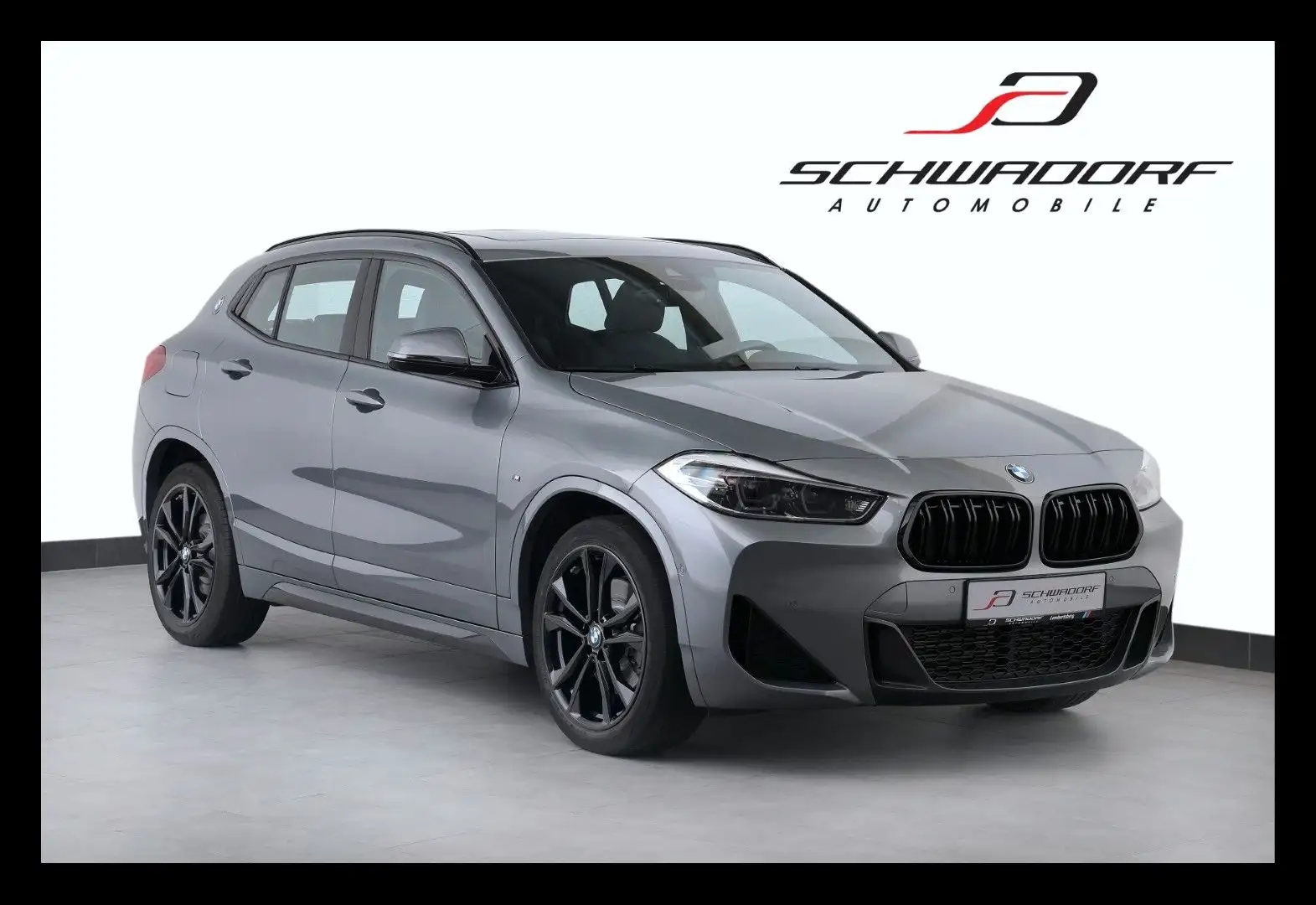 BMW X2 xDrive20d M Sport PANO APPLE RFK AHK 19" Grau - 1