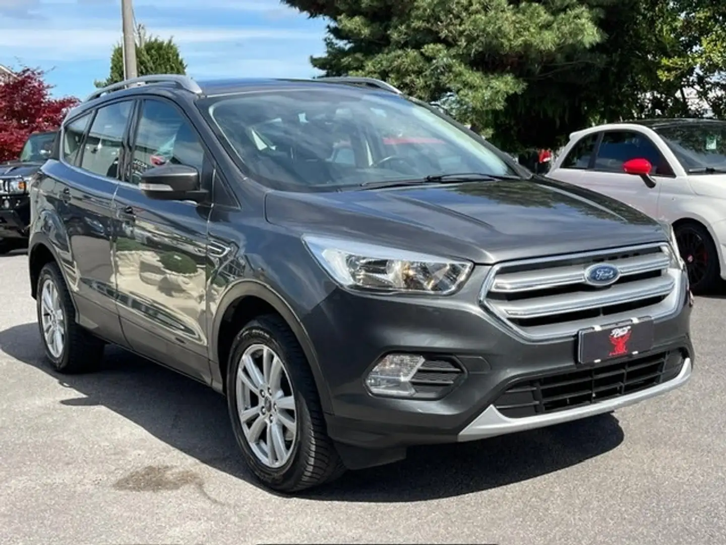 Ford Kuga 2.0 TDCI 120 CV S&S 2WD Business Grigio - 2