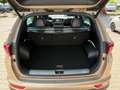 Kia Sportage 1.6 T-GDI GT Line 4WD Beige - thumbnail 15