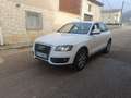 Audi Q5 2.0TDI quattro Advance 177 Weiß - thumbnail 1