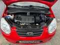 Kia Picanto Picanto 1.1 CRDi Easy Rouge - thumbnail 19