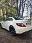 Mercedes-Benz SLK 55 AMG A - thumbnail 8