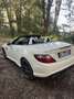 Mercedes-Benz SLK 55 AMG A - thumbnail 4
