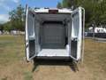 Fiat Ducato Fg. 35 2.3Mjt L2 H2 140CV Blanco - thumbnail 10