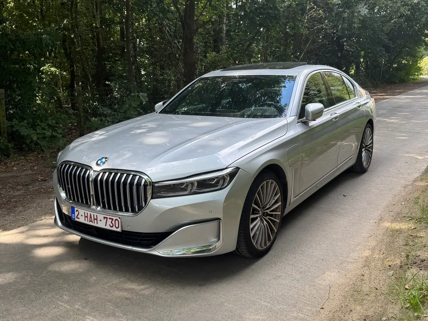 BMW 745 745e Stříbrná - 1