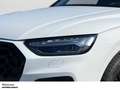 Audi SQ5 DER LETZTE PANO AHK LUFTFAHRWERK DIESEL POWER Grau - thumbnail 6