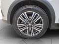 SEAT Arona 1.6 tdi Xcellence 95cv Blanc - thumbnail 5