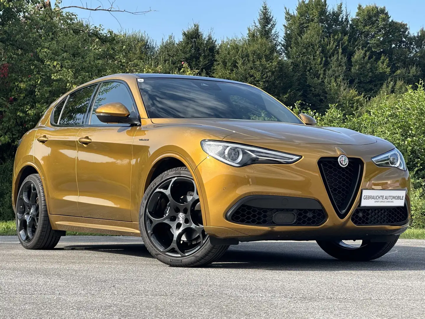 Alfa Romeo Stelvio Stelvio GT Junior Gold - 2