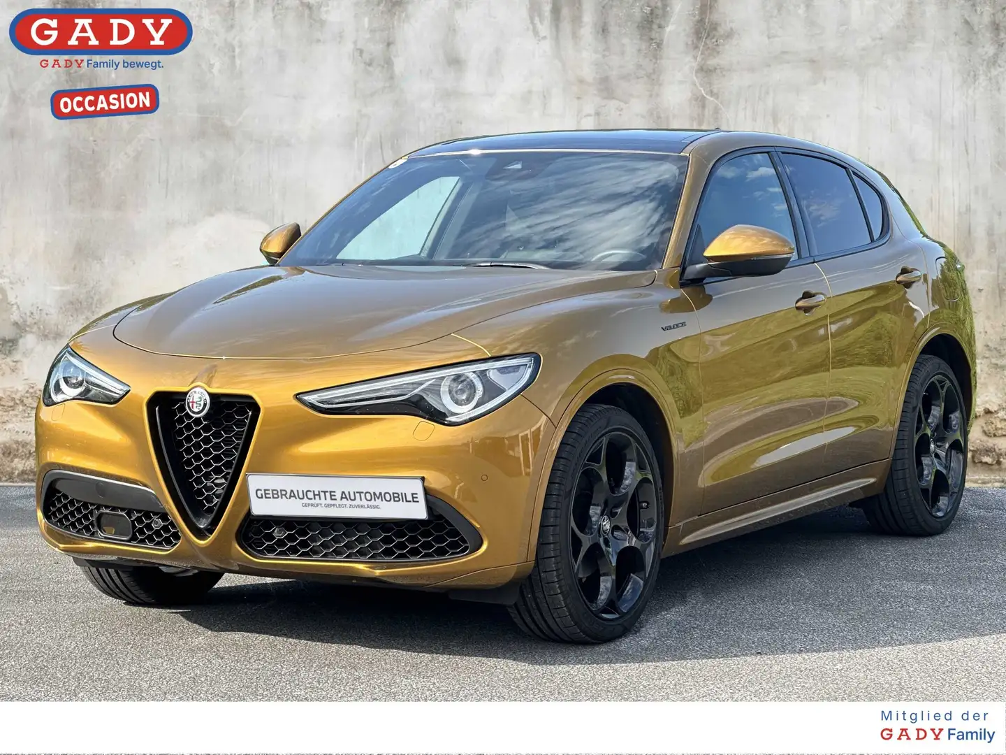 Alfa Romeo Stelvio Stelvio GT Junior Gold - 1
