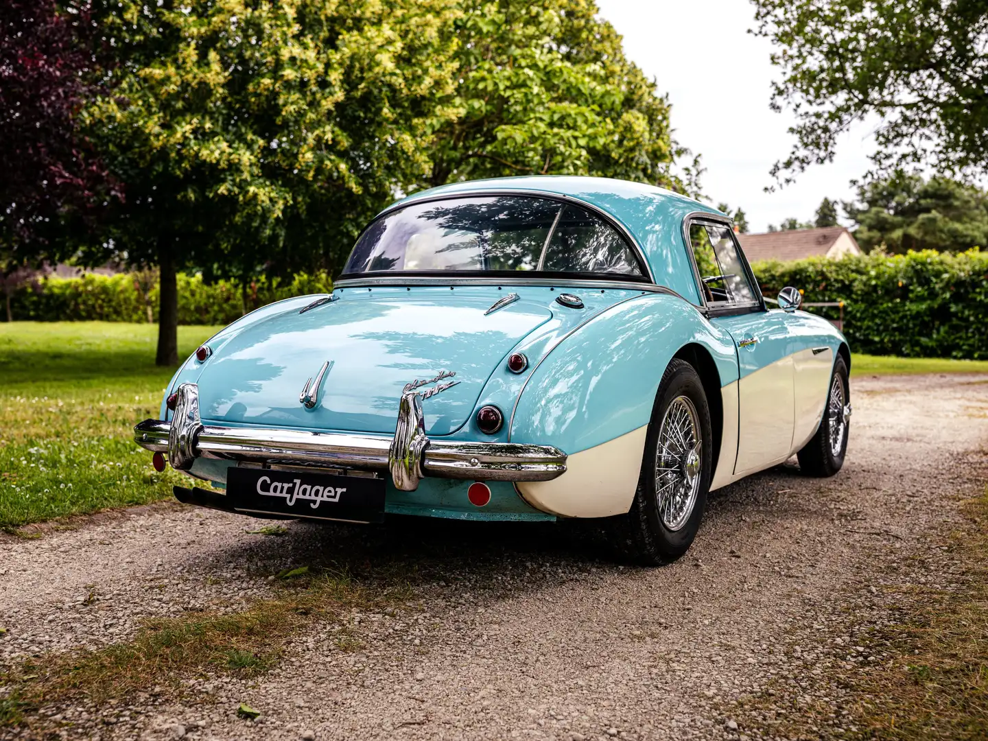 Austin-Healey 100 100/6 Albastru - 2