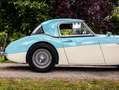 Austin-Healey 100 100/6 Albastru - thumbnail 8