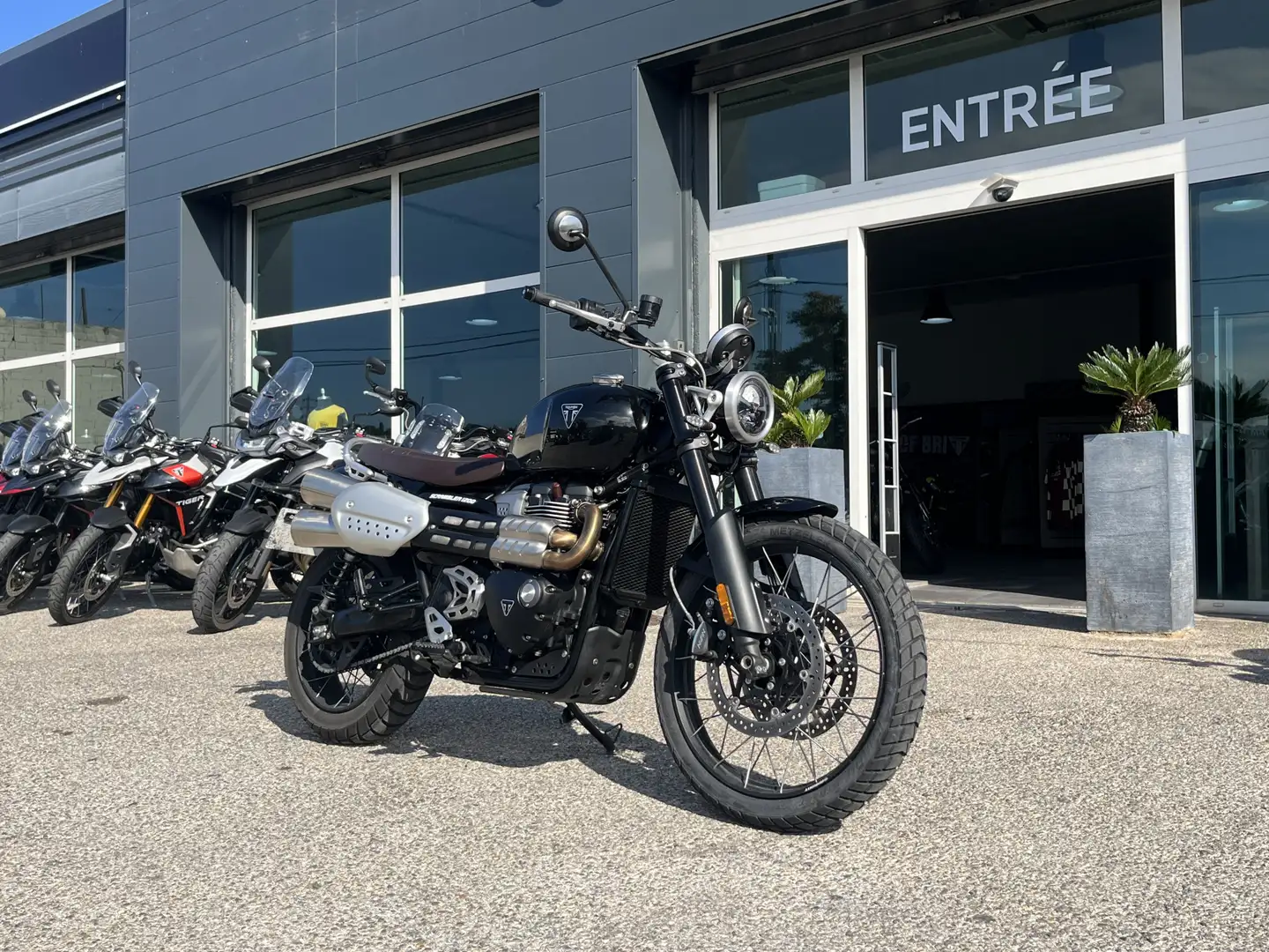 Triumph Scrambler Noir - 2