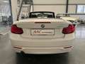 BMW 218 d Cabrio Sport Line/Leder/Harman Kardon/Navi Weiß - thumbnail 10