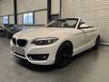 BMW 218 d Cabrio Sport Line/Leder/Harman Kardon/Navi Weiß - thumbnail 11