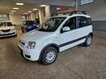 Fiat Panda Panda II 1.2 Climbing 4x4 69cv E5 Bianco - thumbnail 1