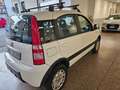Fiat Panda Panda II 1.2 Climbing 4x4 69cv E5 Bianco - thumbnail 3