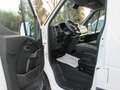 Renault Master 2.3 DCI 150 CV. L2H2 Bianco - thumbnail 6