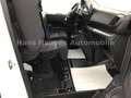 Fiat Scudo L3 Holzausstattung Nav Kamera NSW Voll-LED Weiß - thumbnail 17