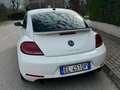 Volkswagen Maggiolino Maggiolino 2.0 TSI DSG Sport Bianco - thumbnail 4