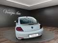 Volkswagen Maggiolino Maggiolino 2.0 TSI DSG Sport Blanco - thumbnail 3