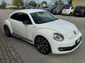 Volkswagen Maggiolino Maggiolino 2.0 TSI DSG Sport Bianco - thumbnail 3