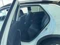 Volkswagen T-Roc T-Roc 2022 1.5 tsi Style dsg Bianco - thumbnail 12