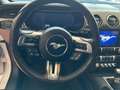 Ford Mustang Fastback 5.0 V8 GT  CERTIFICATA FORD EUROPEA Bianco - thumbnail 14