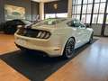 Ford Mustang Fastback 5.0 V8 GT  CERTIFICATA FORD EUROPEA Bianco - thumbnail 8