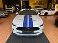 Ford Mustang Fastback 5.0 V8 GT  CERTIFICATA FORD EUROPEA Bianco - thumbnail 4