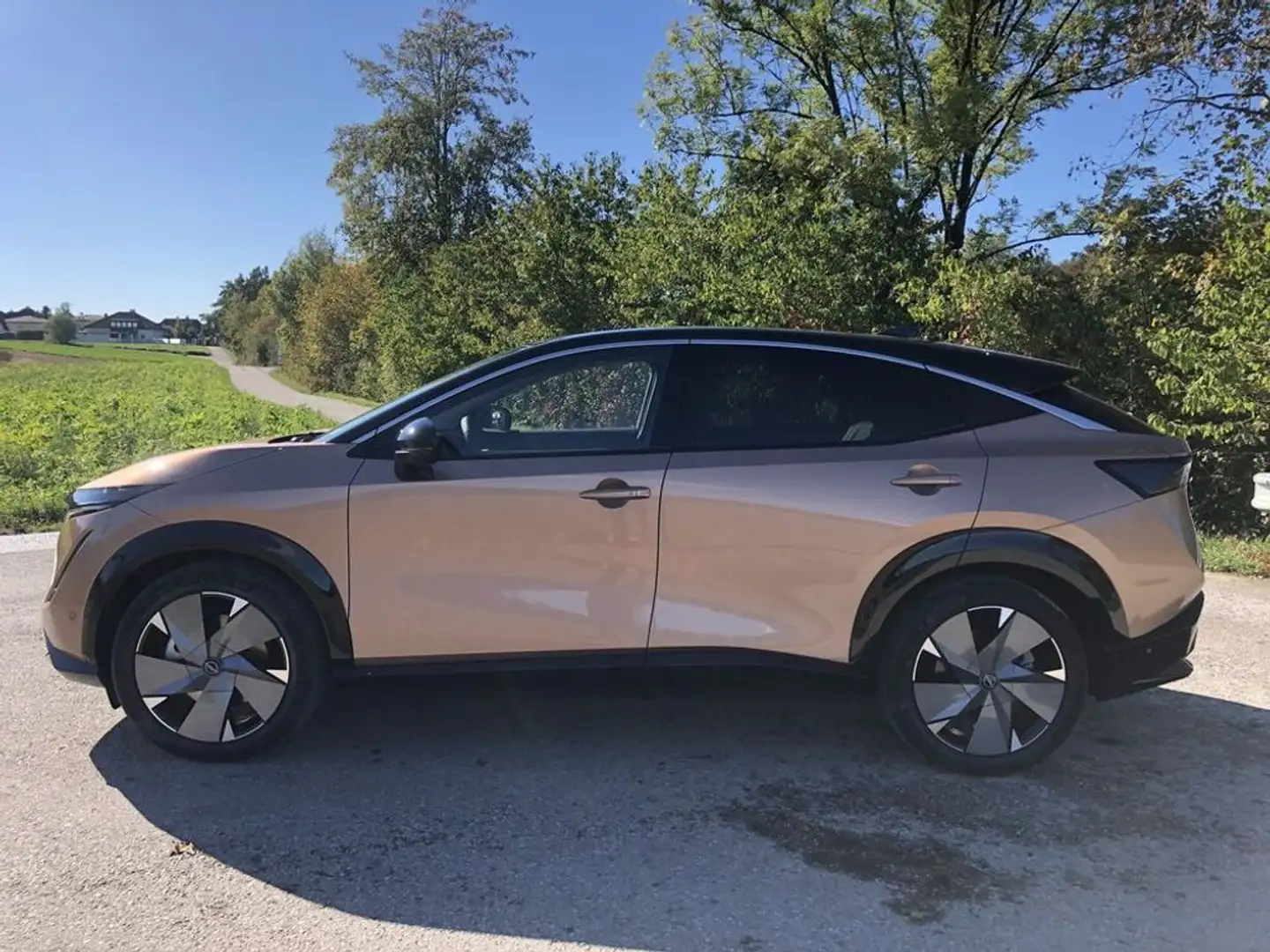 Nissan Ariya Evolve 87 kWh - ab € 39.990,- erhältlich* Braun - 2