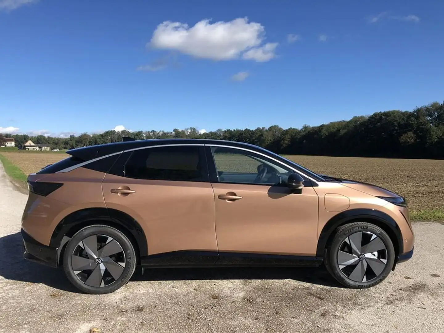 Nissan Ariya Evolve 87 kWh - ab € 39.990,- erhältlich* Braun - 1