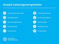 Volkswagen Golf 1.5 eTSI DSG Life Garantie 8.4.30 / 100.000 Grau - thumbnail 17