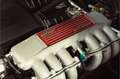 Ferrari Testarossa Long Term Ownership - Fresh Timing Belt - Schedoni Rood - thumbnail 20