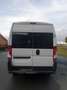 Fiat Ducato 2.0 Multijet L Blanc - thumbnail 9