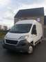 Fiat Ducato 2.0 Multijet L Wit - thumbnail 3