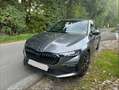 Skoda Scala Scala 1,5 TSI Selection Dynamic DSG / Sportpaket / Matrix-LED Grau - thumbnail 2