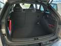 Skoda Scala Scala 1,5 TSI Selection Dynamic DSG / Sportpaket / Matrix-LED Grau - thumbnail 25