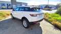 Land Rover Range Rover Evoque 2.0TD4 SE 4WD 150 Blanco - thumbnail 13
