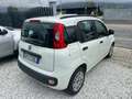Fiat Panda Panda III 2012 1.2 Easy 69cv OTTIME CONDIZIONI!!! Blanc - thumbnail 4