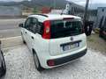 Fiat Panda Panda III 2012 1.2 Easy 69cv OTTIME CONDIZIONI!!! Blanc - thumbnail 6