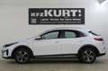 Kia XCeed PHEV 1.6 GDI DCT6 OPF SPIRIT! Weiß - thumbnail 3