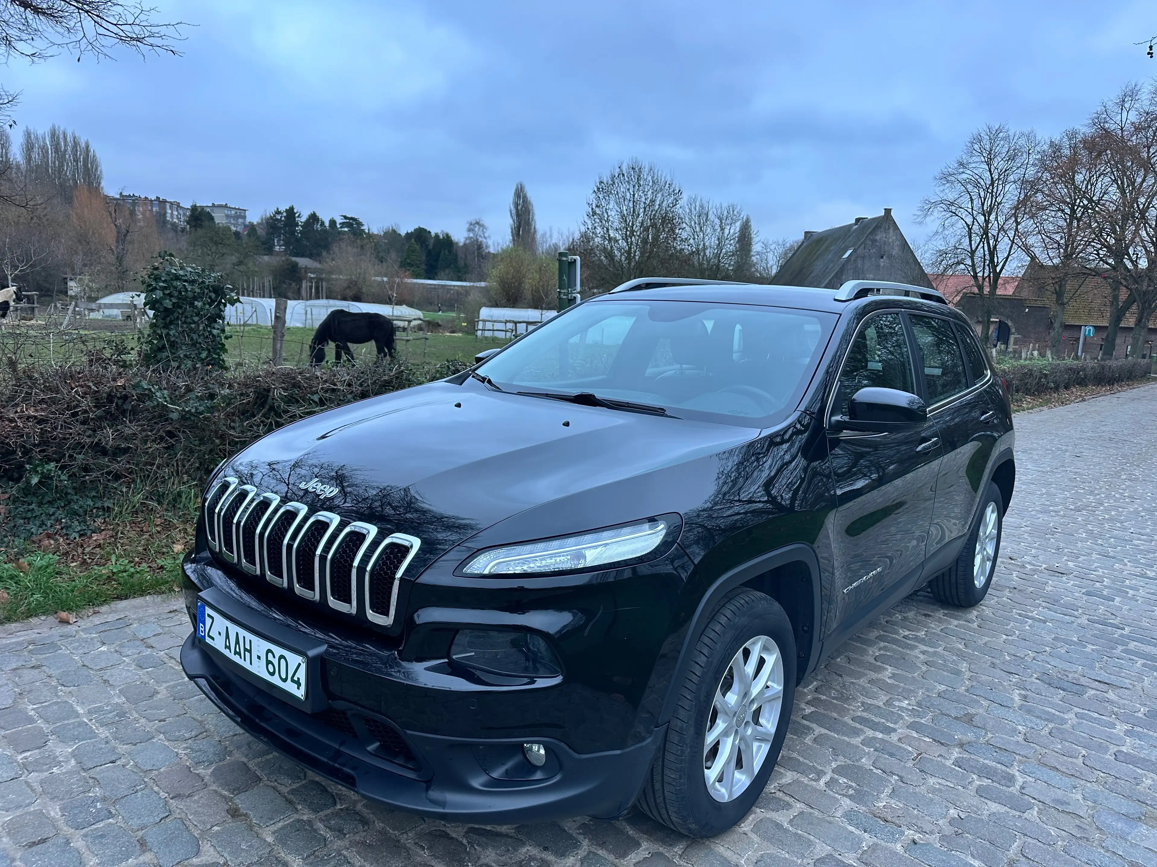 Jeep Cherokee Cherokee 2.0 MJD 4WD Longitude Plus Drive I — photo 3