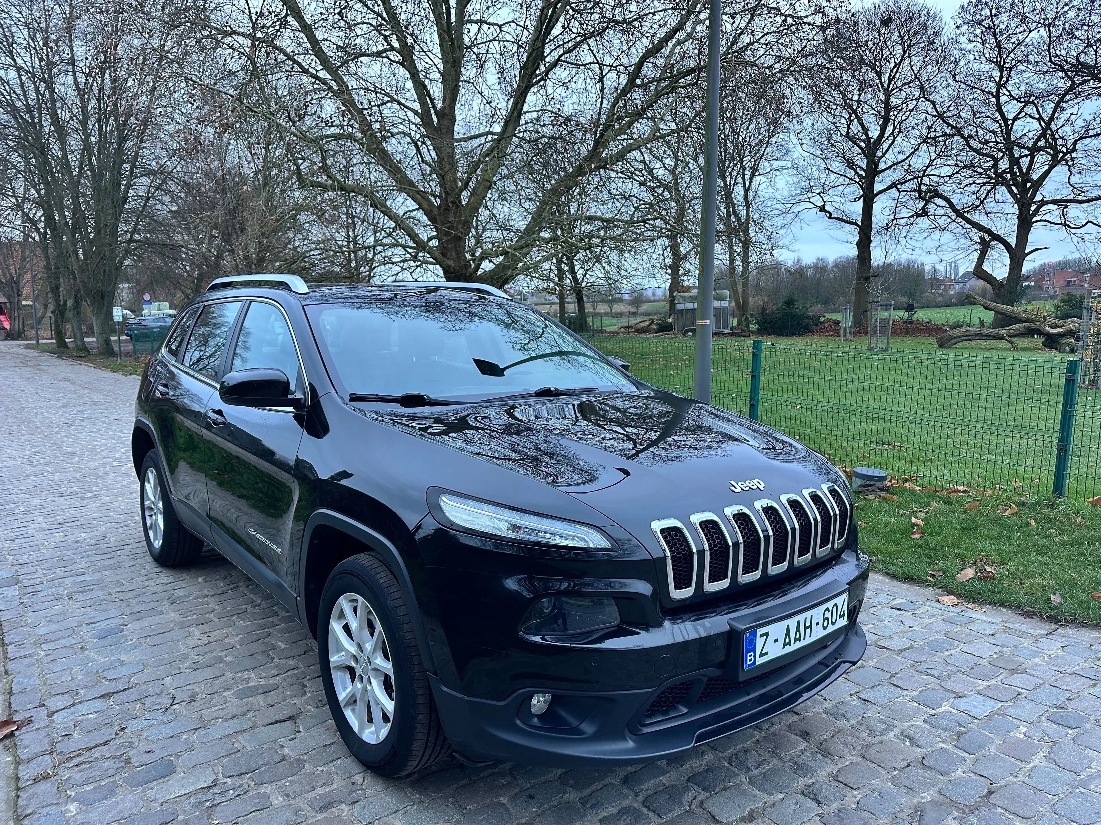 Jeep Cherokee Cherokee 2.0 MJD 4WD Longitude Plus Drive I