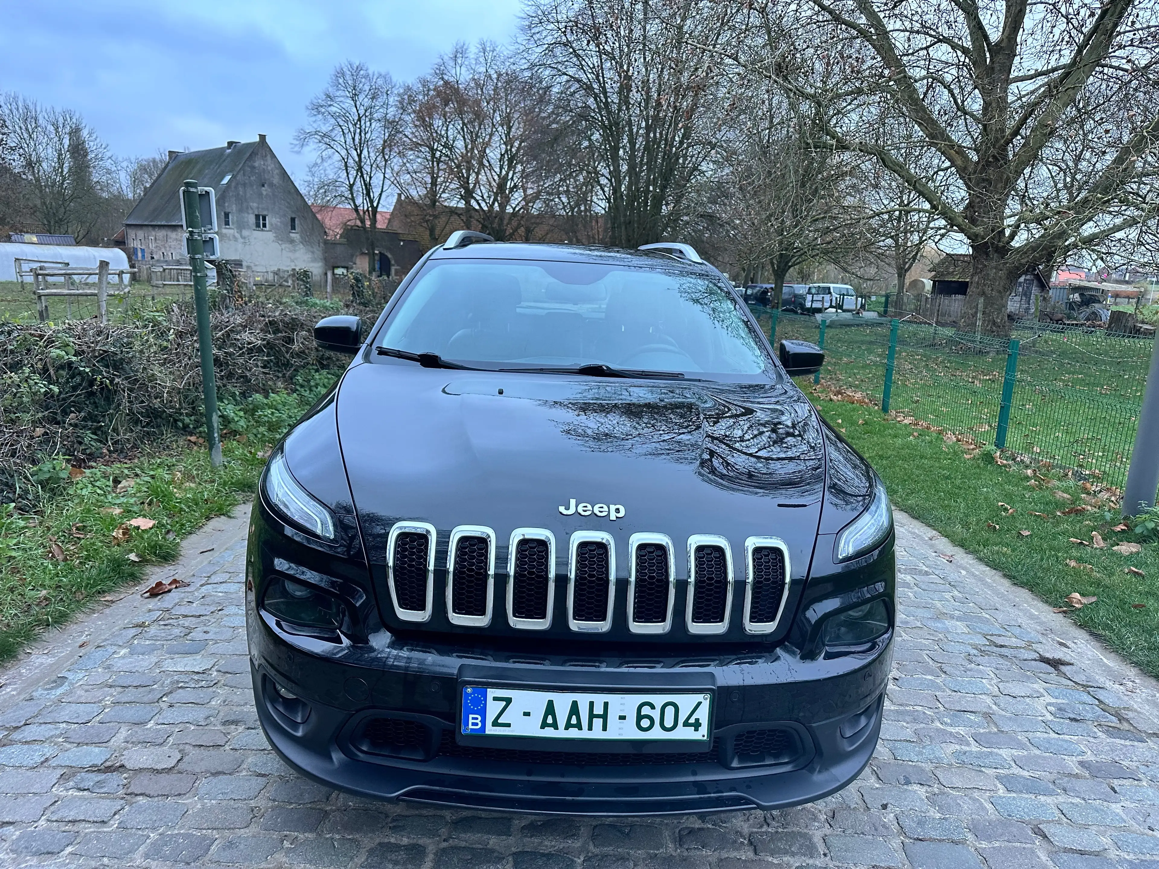 Jeep Cherokee Cherokee 2.0 MJD 4WD Longitude Plus Drive I — photo 2