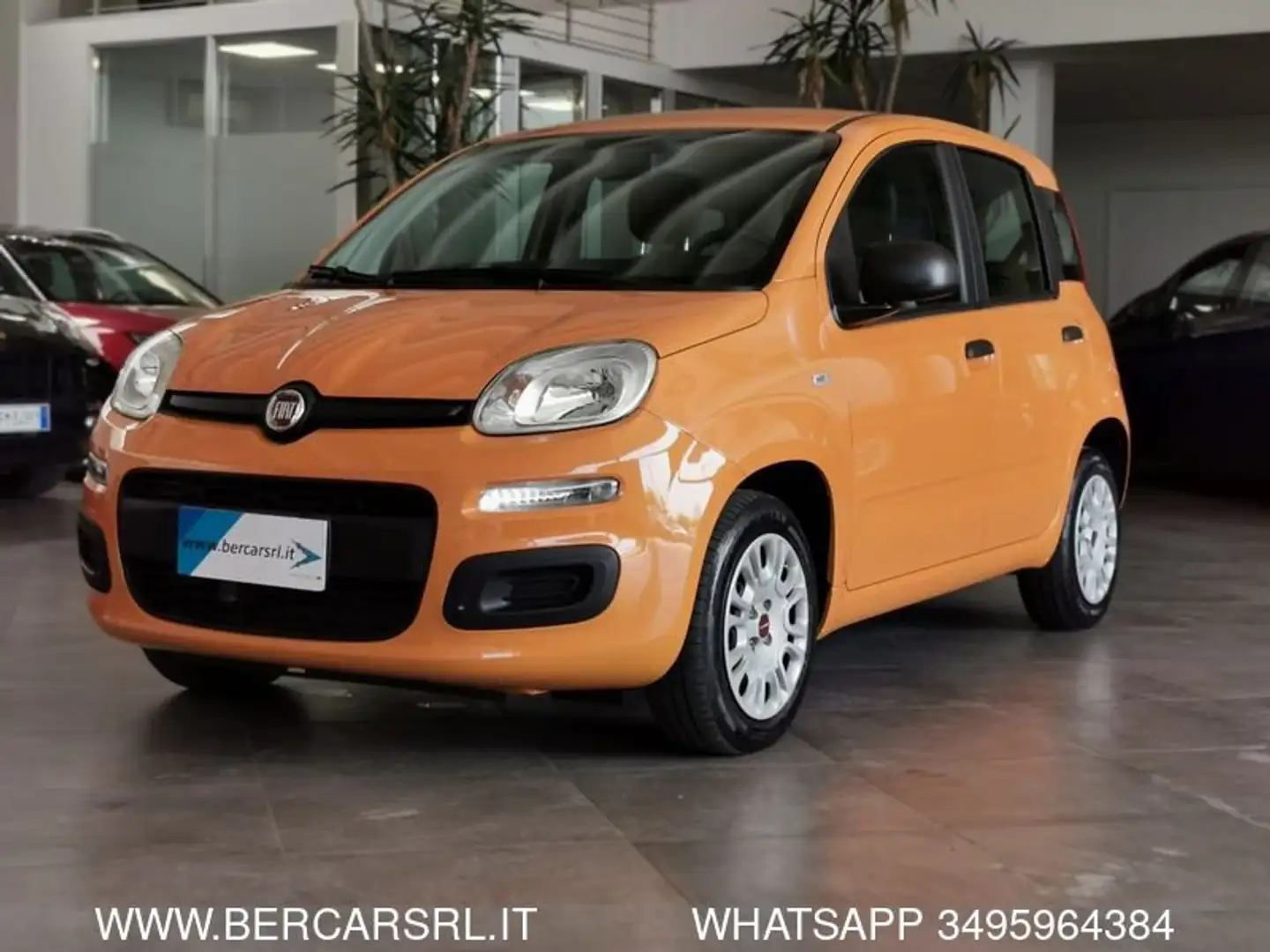 Fiat Panda 1.2 Easy Orange - 1