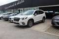 Subaru Forester 2.0i Hybrid Executive Plus CVT Blanco - thumbnail 1