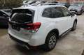 Subaru Forester 2.0i Hybrid Executive Plus CVT Blanco - thumbnail 7