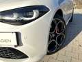 Alfa Romeo Giulia VELOCE 2.0T Q4 LED+NAVI+PANO+KAMERA+SHZ Weiß - thumbnail 24