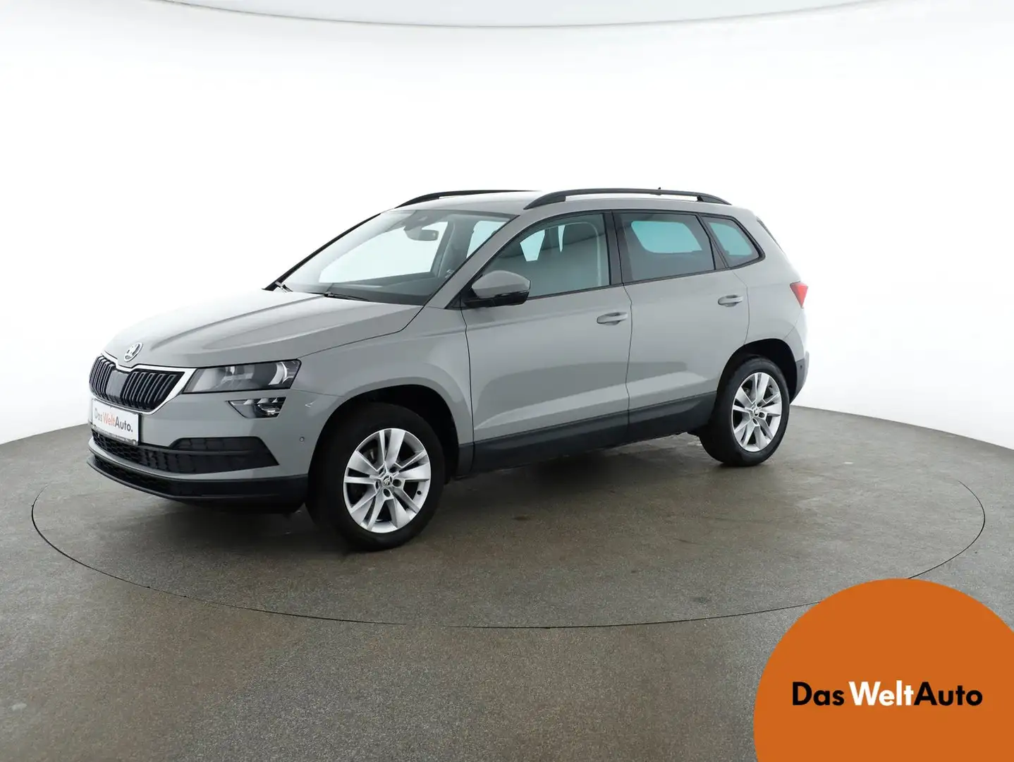 Skoda Karoq Style 125 TDI DSG Grau - 1