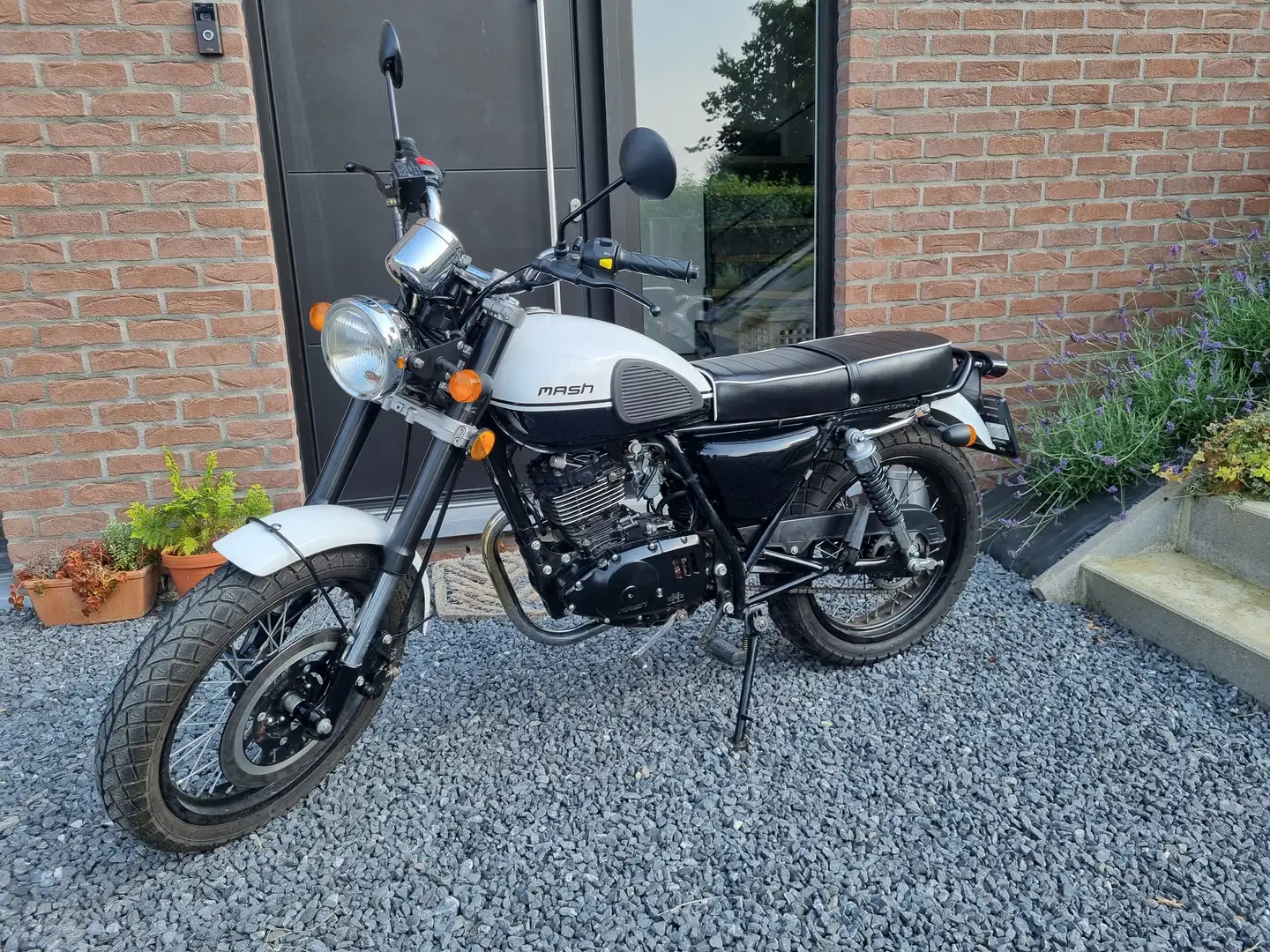 Mash Seventyfive 125 QM125-2X Blanc - 2